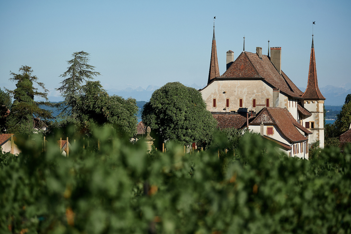 Caves de Château d'Auvernier