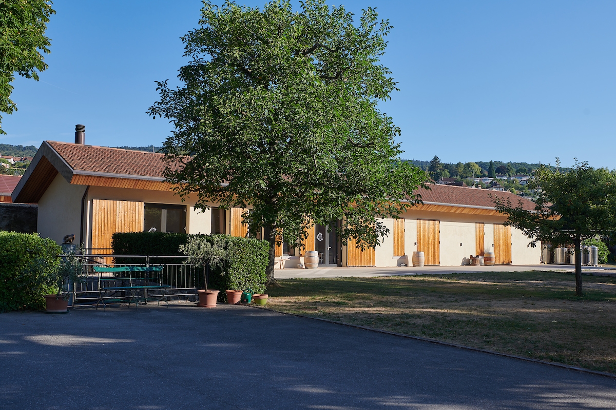 Visites et dégustations au Château d'Auvernier